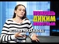 Программа "Районы. Кварталы". Дикие животные в городе - что делать?