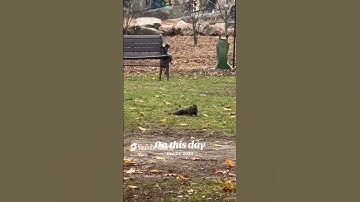 تكرارالأذكار لقضاء الحاجه باذن الله تعالى