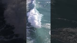 HUGE Waves At The Pompano Beach