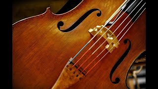 ISM Webinar: Principles of the Suzuki Method