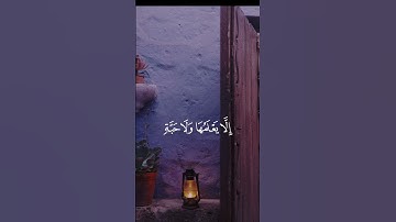 من الماضي الجميل تلاوة عذبة للشيخ عبدالله خياط