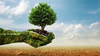 Solutions to climate change | #climatechange #learning #cop29 #cop28