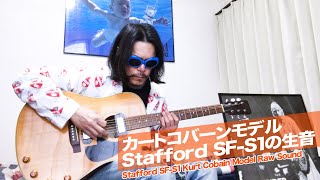 スタッフォード　エレアコカスタム 2025年最新】スタッフォード エレアコの人気アイテム - メルカリ