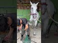 馬の靴屋さんのテクニック