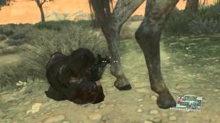 Famous Basement Quality - Metal Gear Solid V: The Phantom Pain Wealth