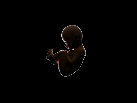 Abortion, Roe v. Wade & The Bible