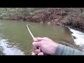 Creek Fishing for BIG TROUT!