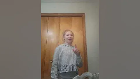 a made up song by me
