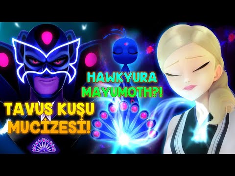 ЛЕДИ БАГ И СУПЕР-КОТ - КАК ПОТЕРЯЛ ЧУДО ПАВЛИНА? HAWKYURA - MAYUMOTH?!