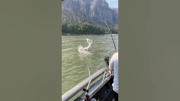 Young Jack, with his largest fish ever on the recent trip with us. ￼