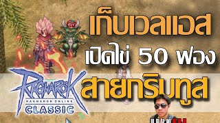 Ragnarok Classic Assassin สายกริมทูสมาแล้ว เปิดไข่เอาของสักหน่อยนะพ่อหนุ่ม