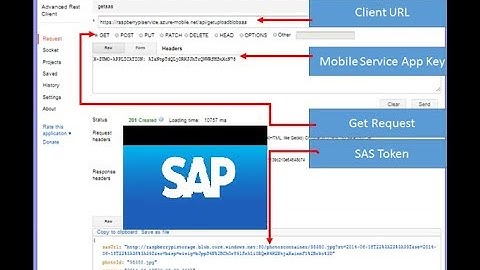 Advance Rest Client, X Csrf Token Tutorial [SAP Gateway Odata Service Example]