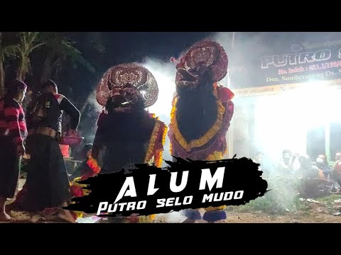 Lagu Alum cover jaranan putro selo mudo