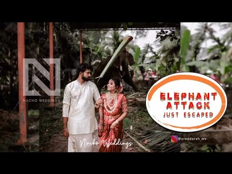 ELEPHANT ATTACK JUST ESCAPED | WEDDING PHOTO SHOOT