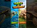 Turtle or Tortoise? 🐢 Most People Get This Wrong! | #shorts  #turtle #facts #animals #tamil #pets