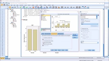 SPSS Chart Builder Row and Column Panel Variables with Bar Charts