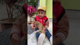 Lovely Cute Baby & animal - Nhím TV