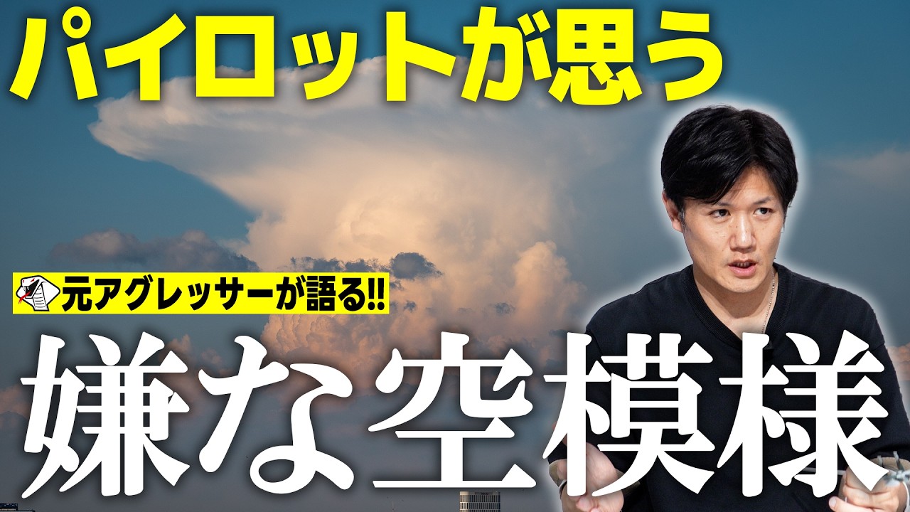 スチュワーデスとパイロットの台湾がいっぱい