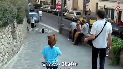 Como é formada uma corte?