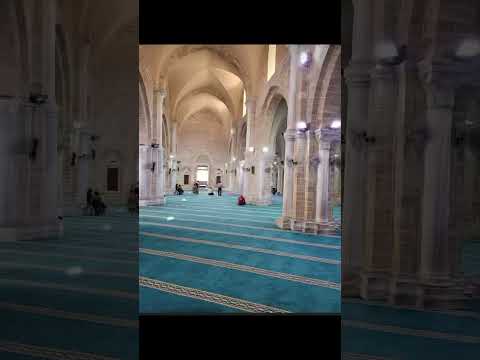 الشيخ عبد الباسط وحدائق غلبا وفاكهة وأبا