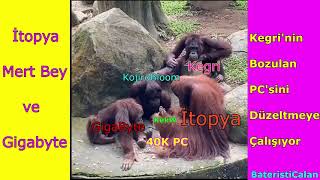 İtopya ve Gigabyte Kegri'nin PC'yi Düzeltmeye Çalışıyor. Edit Hype / AyniSinemalar