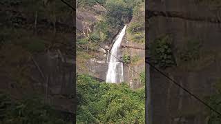 തടപഴ - പമല റടടല ഞണടറകക , വളളചചടട - റഡൽ നനനളള കഴച ....