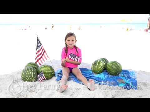 Star Spangled Watermelon Summer