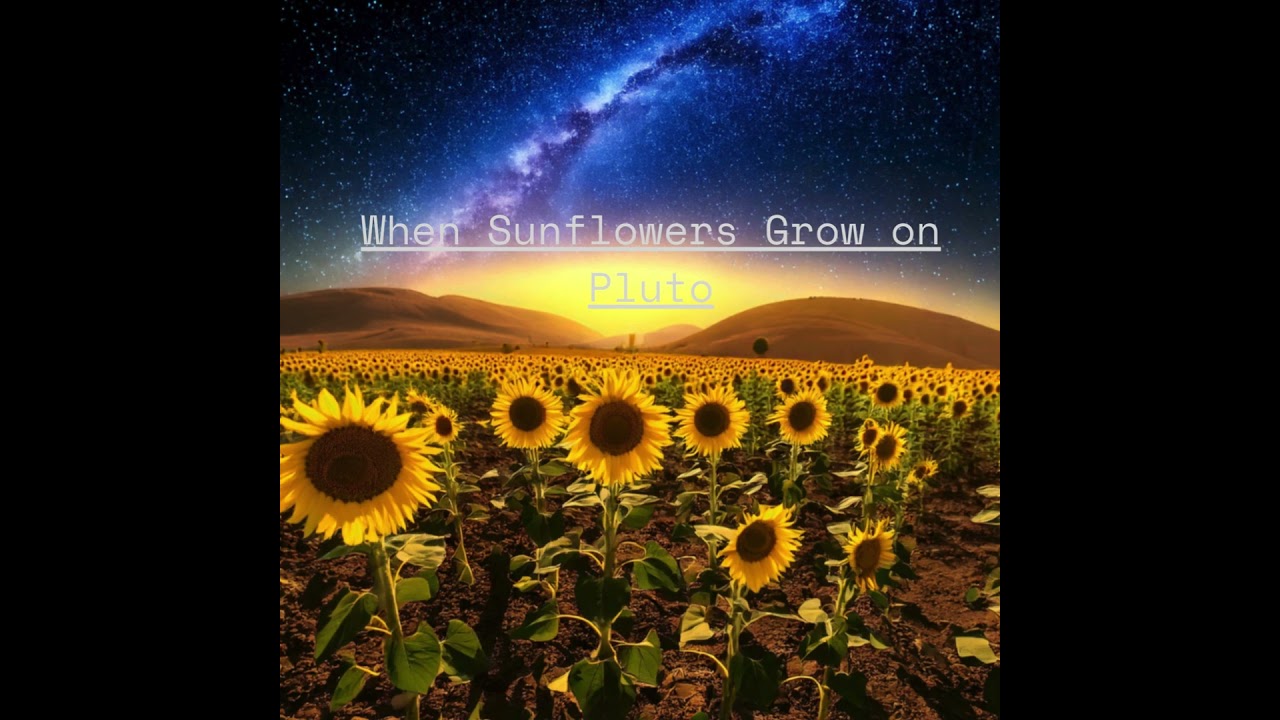 When Sunflowers grow on Pluto - JDI (Sunflower x Pluto Projector Cover)