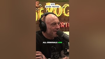 #jre #2311 - Jeremie & Edouard Harris - AI