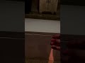 棺桶あけたら猫がでてきたら嬉しい
