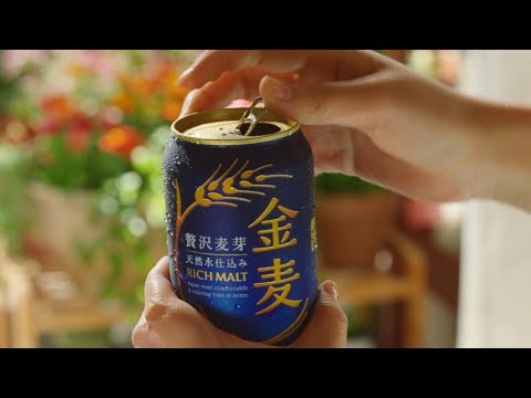 金麦『続・完璧な午後＋続・幸せな午後』篇 30秒 竹野内豊 黒木華