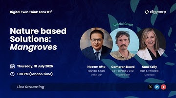 Nature based solutions: Mangroves