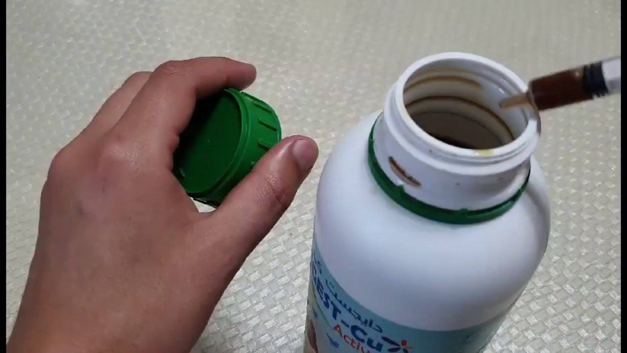 أهمية الأحماض للطيور وكيفية تقديمها لتفادي الأمراض مع#سامي_محيوس#