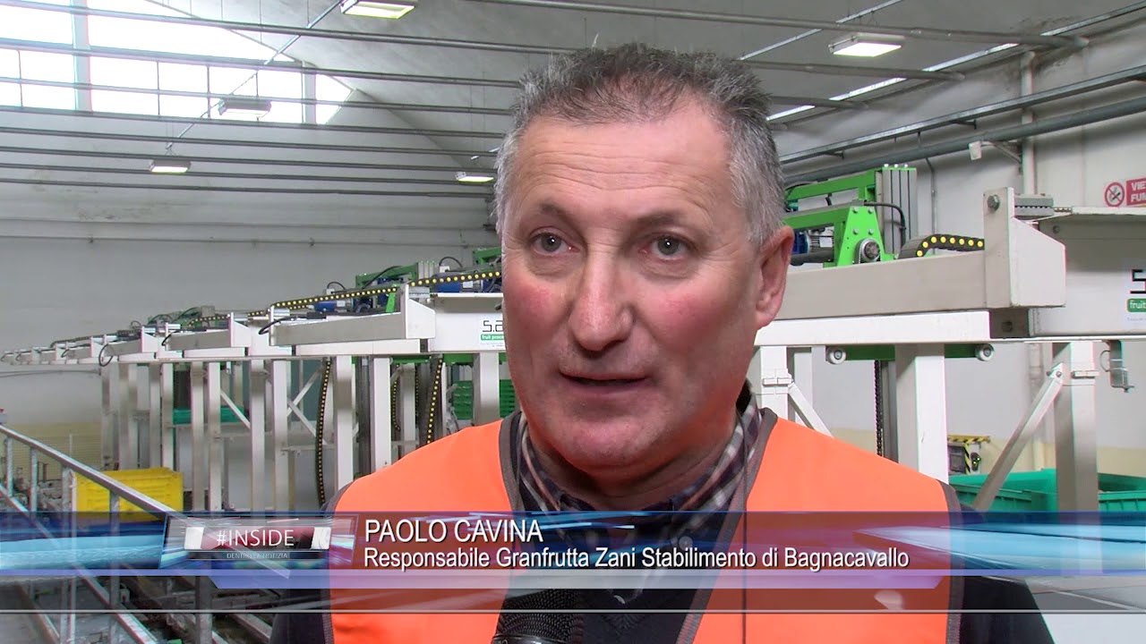 FAENZA: Pink lady day 20-10-2017