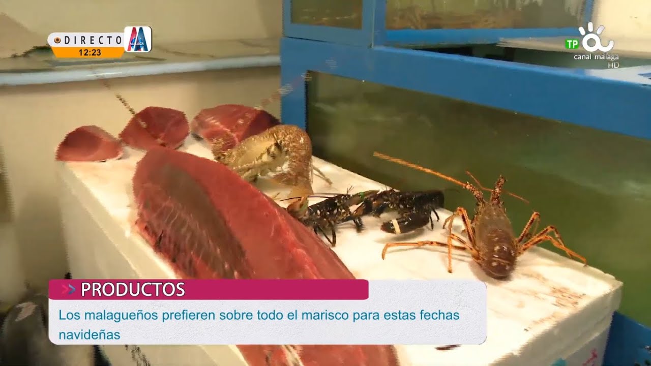 MÁLAGA AQUÍ Y AHORA , 12 12 2024 PARTE 1