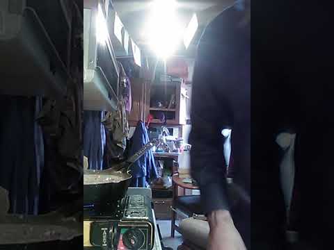 Cream of Chicken Vegetable Soup 2