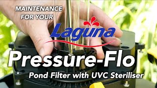 Maintenance for your Laguna Pressure-Flo Pond Filter with UVC Steriliser