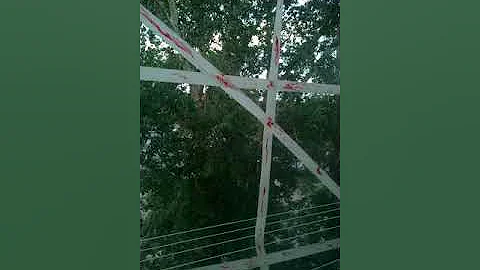 Как избавиться от тополиных мошек