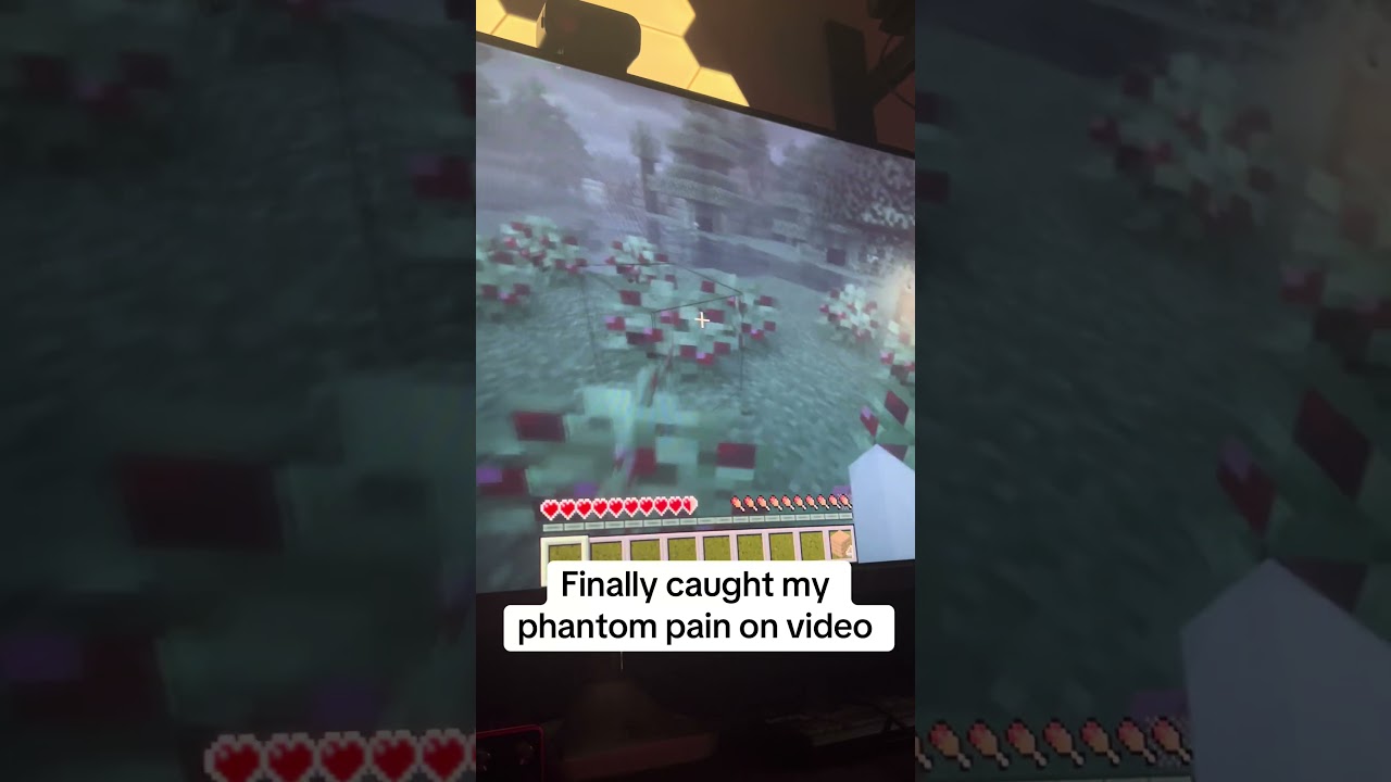 This hurt so much 😭 #phantompain #mud2002 #minecraft