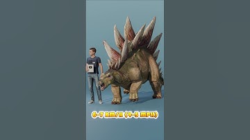 Dinosaurs Speed | Stegosaurus speed Vs Compsognathus speed
