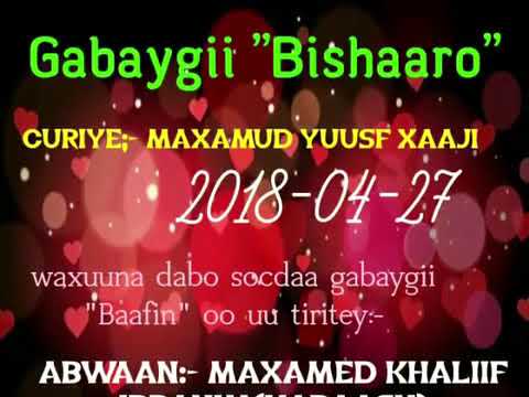 Gabaygii Bishaaro 2018 