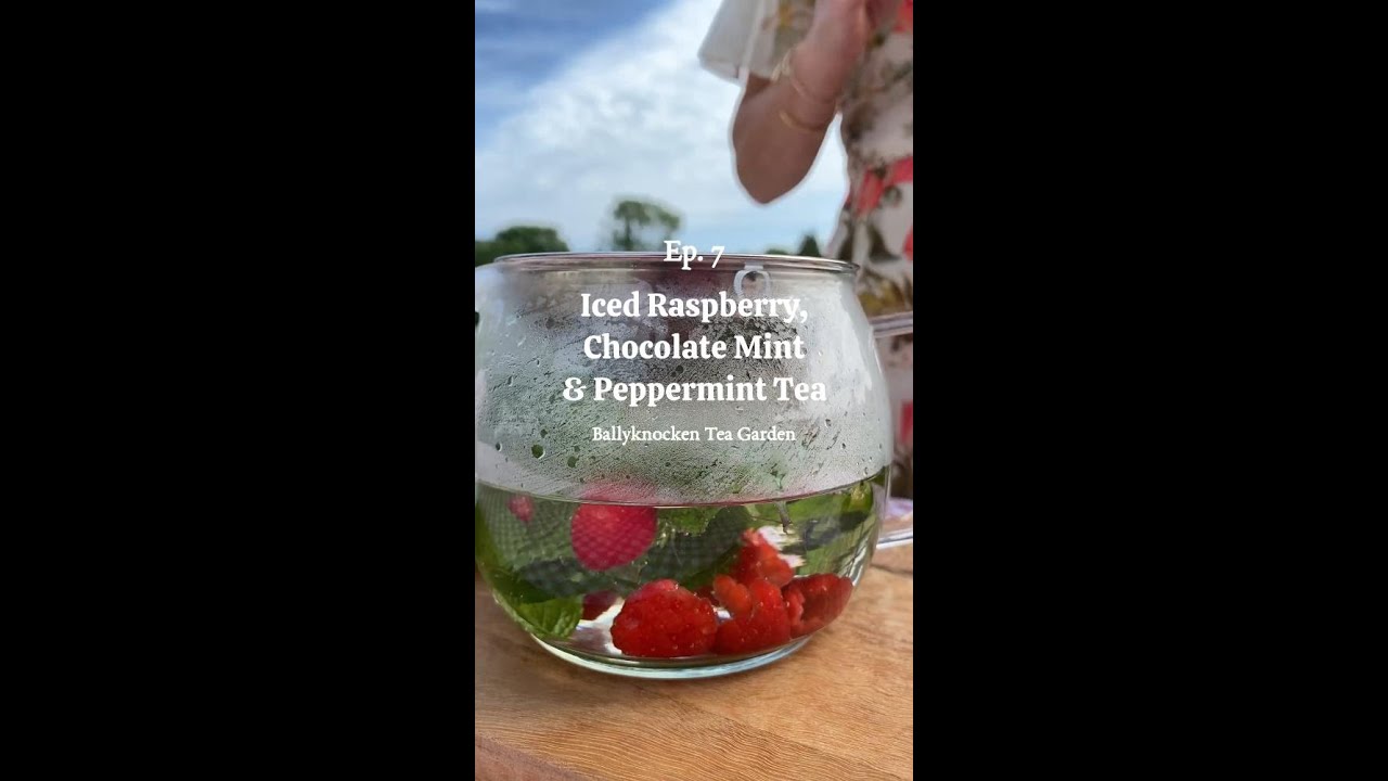 Cool Down with Our Iced Raspberry Mint Tea! 🫖❄️ 