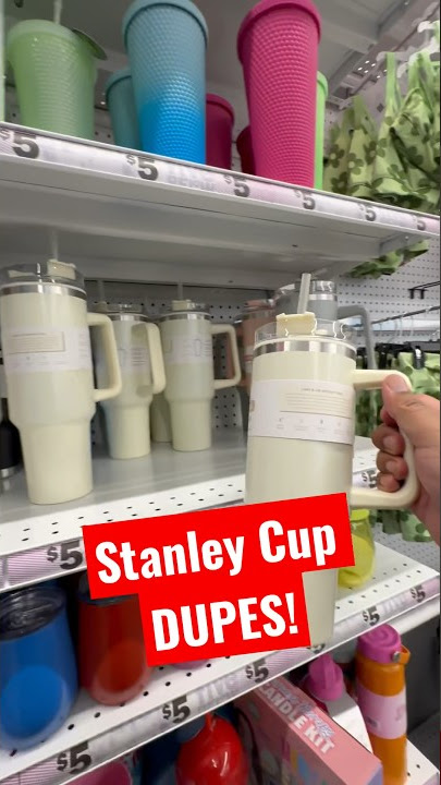 Stanley Dupe @fivebelow #stanleytumbler #stanleycup #tumblers #tumbler, five below stanley