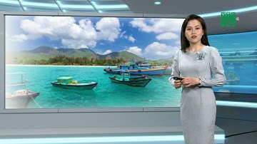 Thời tiết Biển ngày 06/02/2021 | VTC14