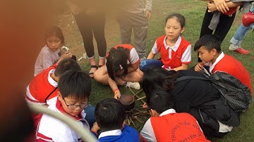 Tuổi thơ còn mãi (lớp 5d) Trường tiểu học Nguyễn Du