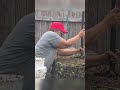 Making black gold! In this video, we are learning how to make hot compost fastvno fancy tools needed