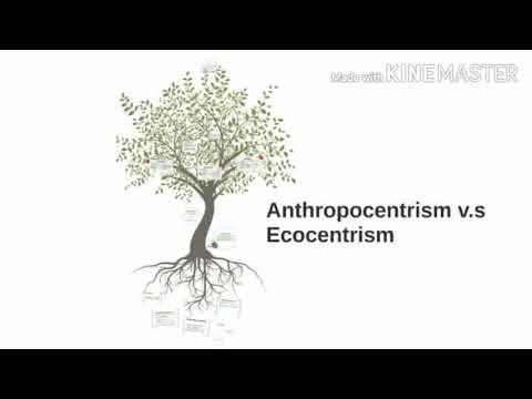 Ecocentrism & Anthropocentrism