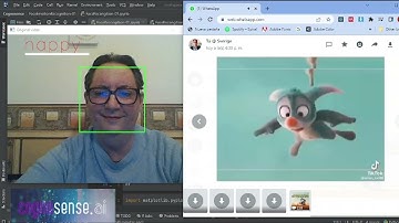 Demo -  Face Emotion Recognition