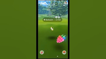 Shiny Hunter: Barboach #shorts #pokemongo