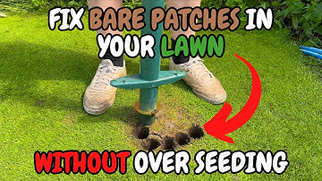 How to FIX any PATCH in your LAWN without over seeding!